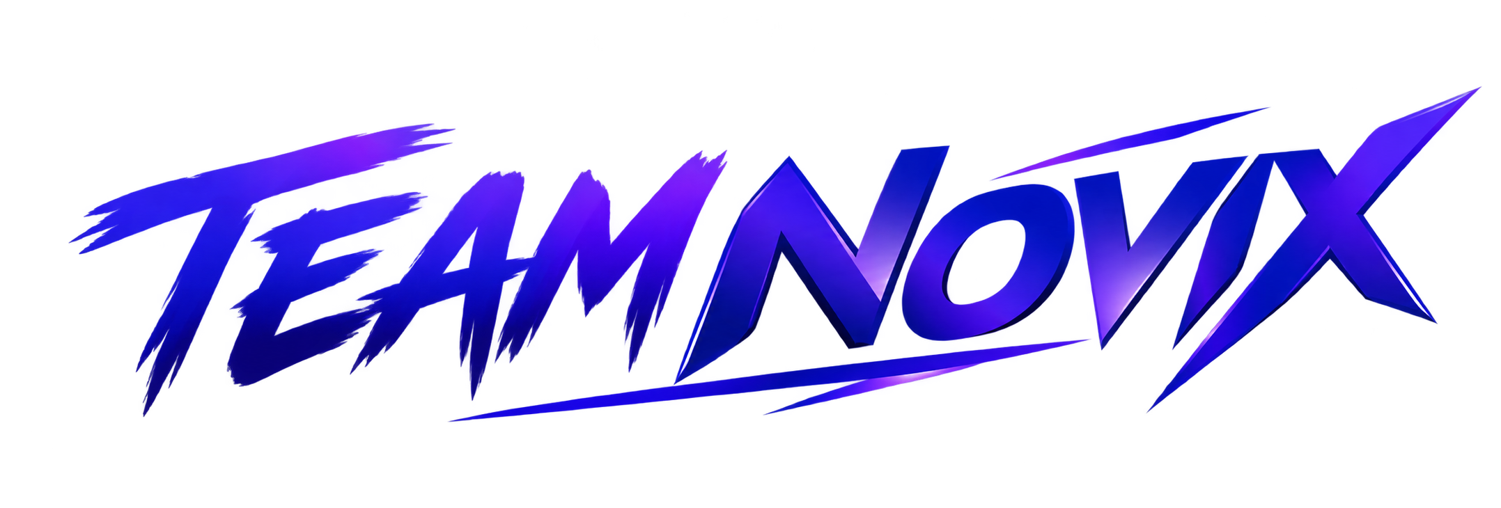 TEAM NOVIX
